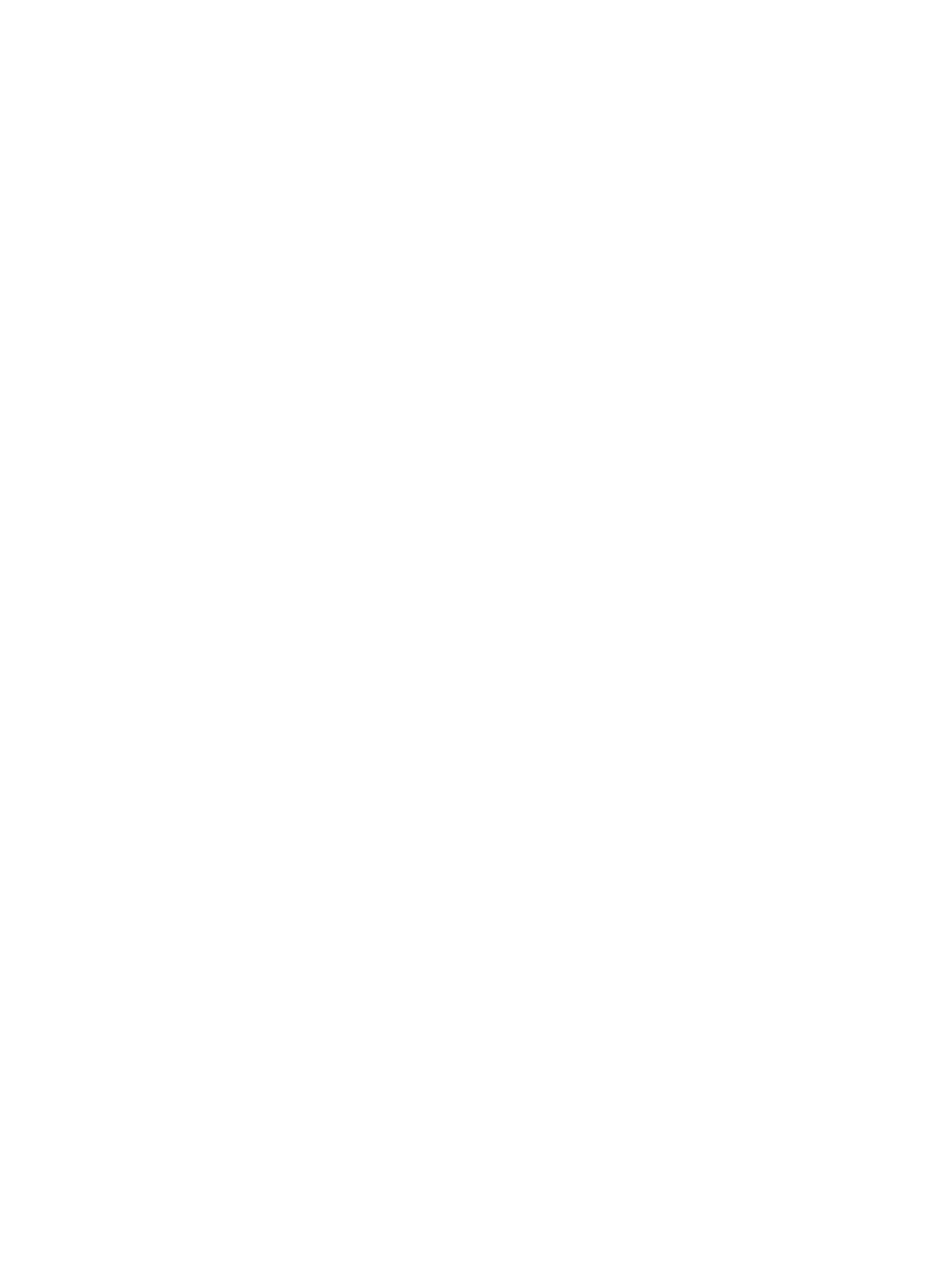 invoice-euro