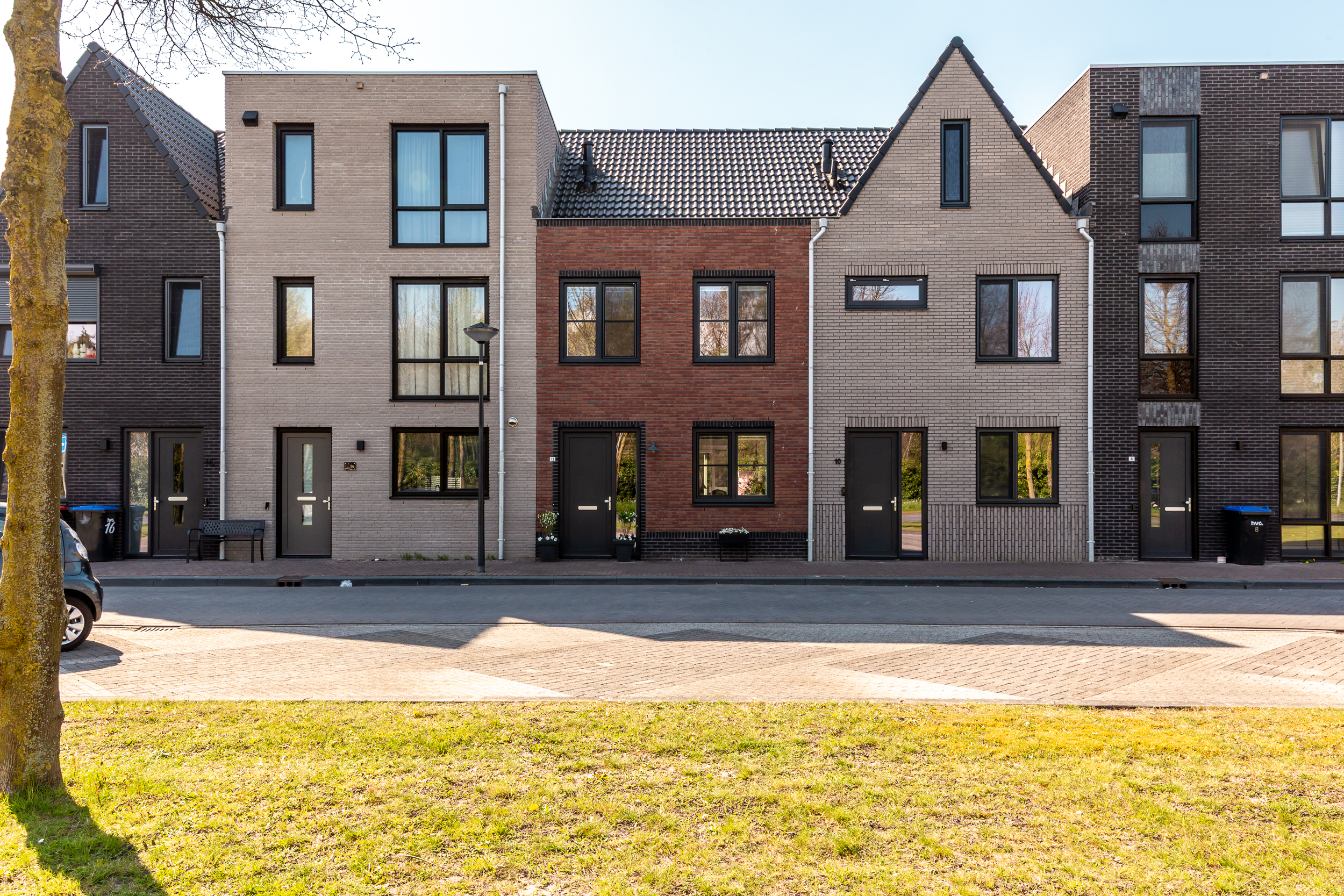 hollandse-linde-12