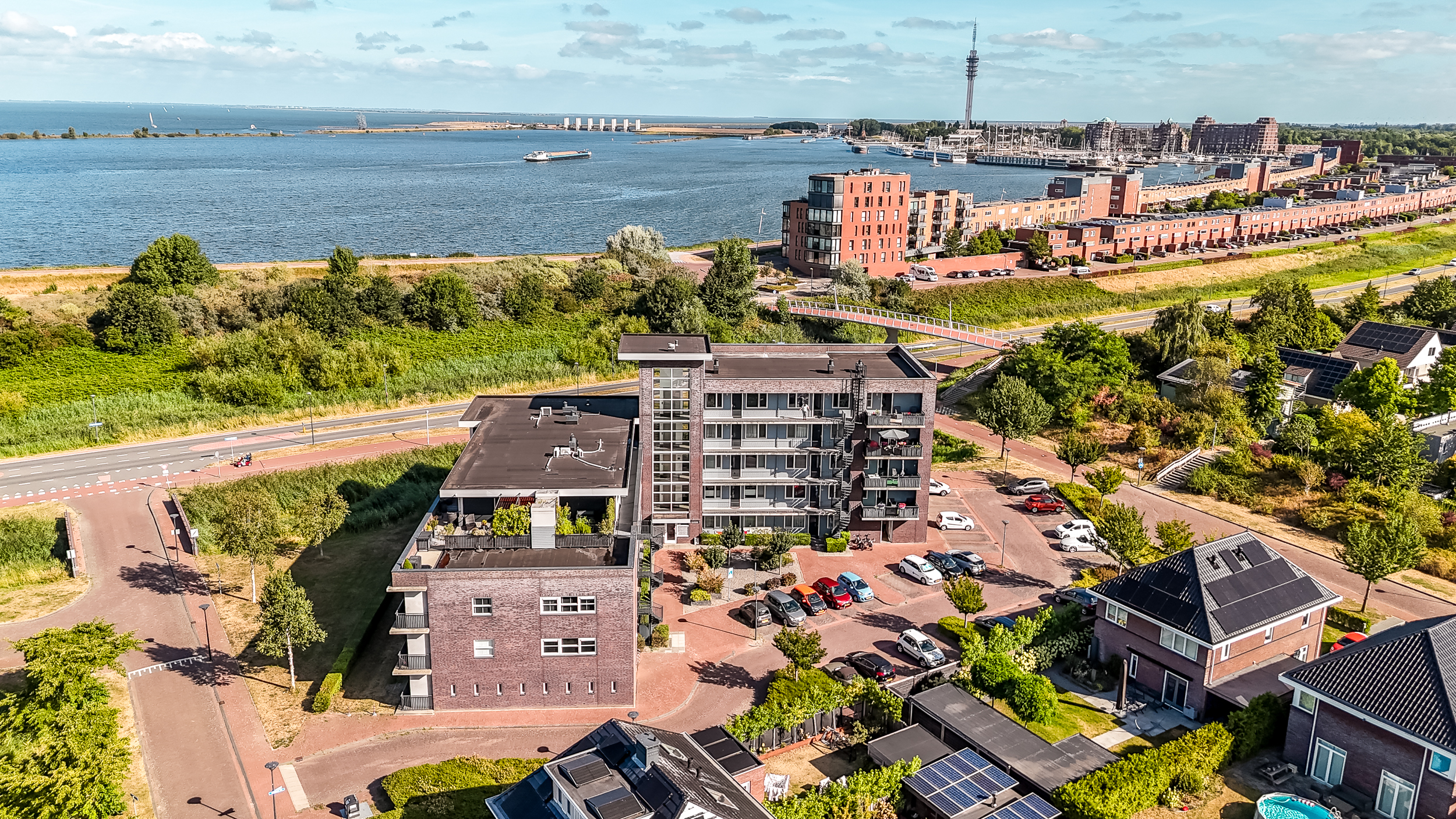 galjoen-09-59